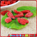 Reduzir o peso seco goji berry goji berries goji pronto para ser servido